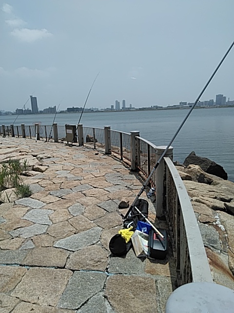 淀川釣りスポット